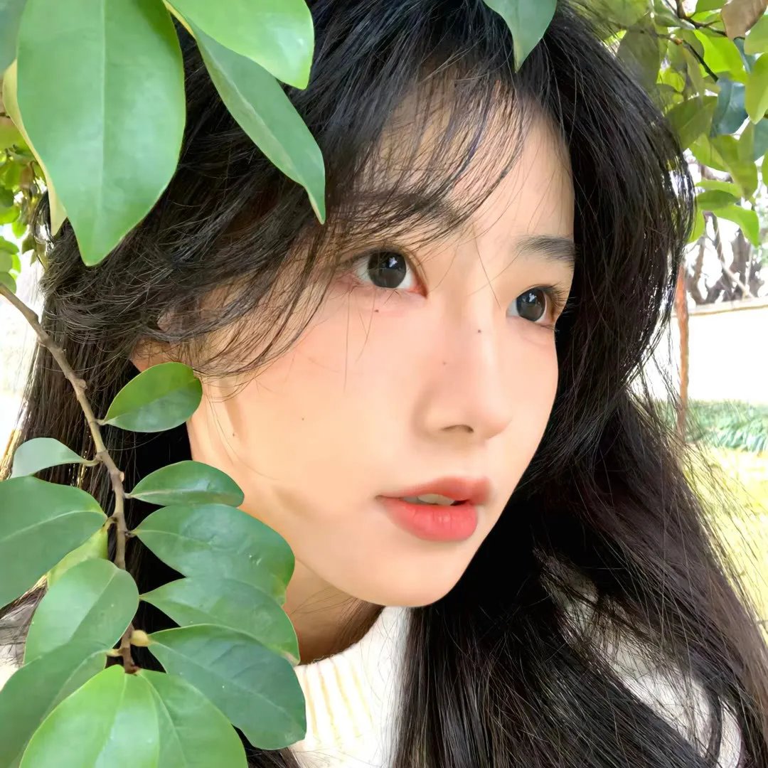 安内蒙尼